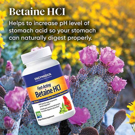Betaine HCl Fast-Acting, ENZ